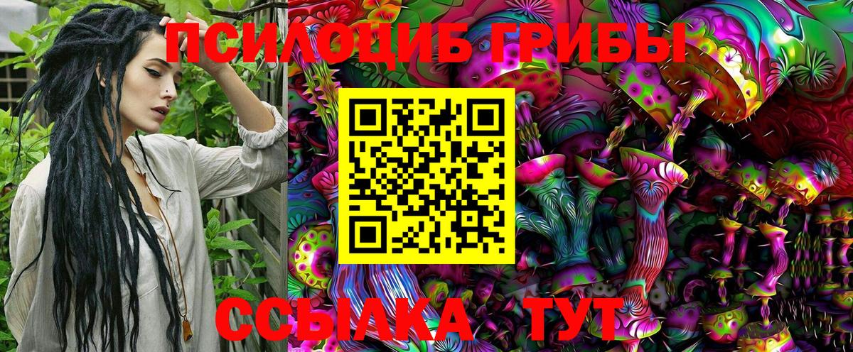 Псилоцибиновые грибы Psilocybine cubensis Кузнецк